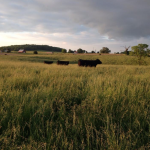 Screen Shot 2015-08-27 at 9.35.14 PM