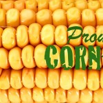 12418876_10156464738955541_7021089922653351437_o