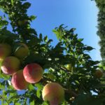 Photo Jun 28, 11 14 52 AM