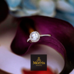 Screen Shot 2018-01-16 at 11.05.21 PM