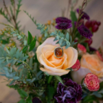 Screen Shot 2018-01-16 at 11.08.33 PM